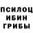 Галлюциногенные грибы мицелий Giiina Kanzer