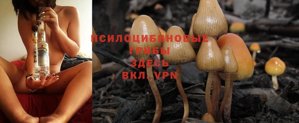 гашик Покров