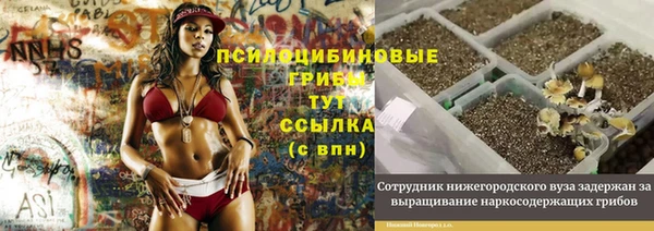 первитин Верхний Тагил