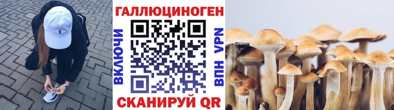 цены наркотик  Вятские Поляны  Галлюциногенные грибы Psilocybe 